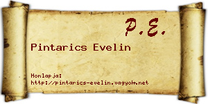Pintarics Evelin névjegykártya